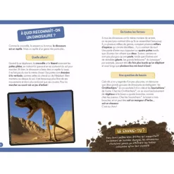 À La Découverte Des Dinosaures 4 Years And Over|2 Years And Over