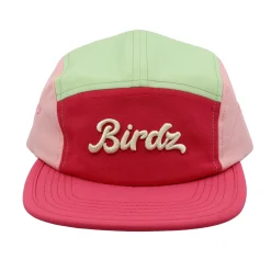 Hats & Caps>Birdz 5 Panel Colorblock Cap 2-16 Fuchsia