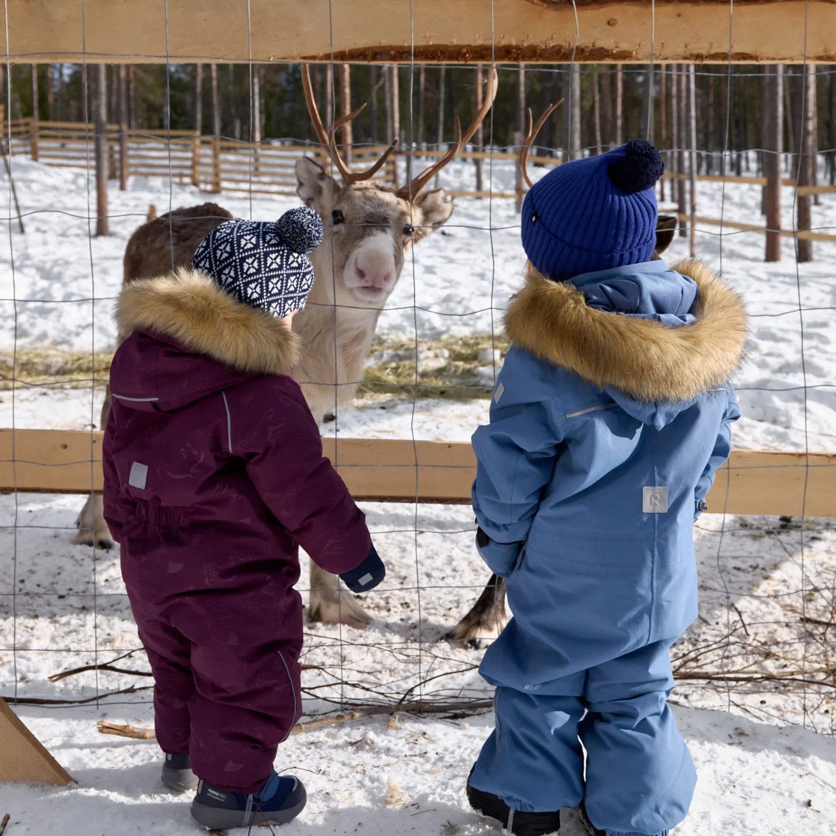 Clearance Aapua Down Snowsuit 9-24m Outerwear|Snowsuits
