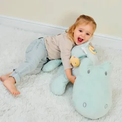 Developmental Toys><noscript><img width=