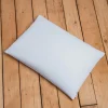 Online Adult Buckwheat Pillow Kids Pillows & Pillowcases|Bedding