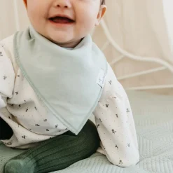 Baby Bandana Bibs (4) - Dinosaurs Rex Bibs|Breastfeeding