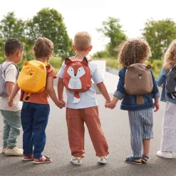 Clearance Backpack - Fox Kids Backpacks|Outdoors & Travel