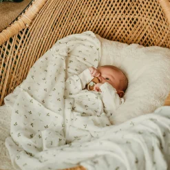 Blankets|Blankets><noscript><img width=