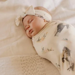 Blankets|Blankets><noscript><img width=