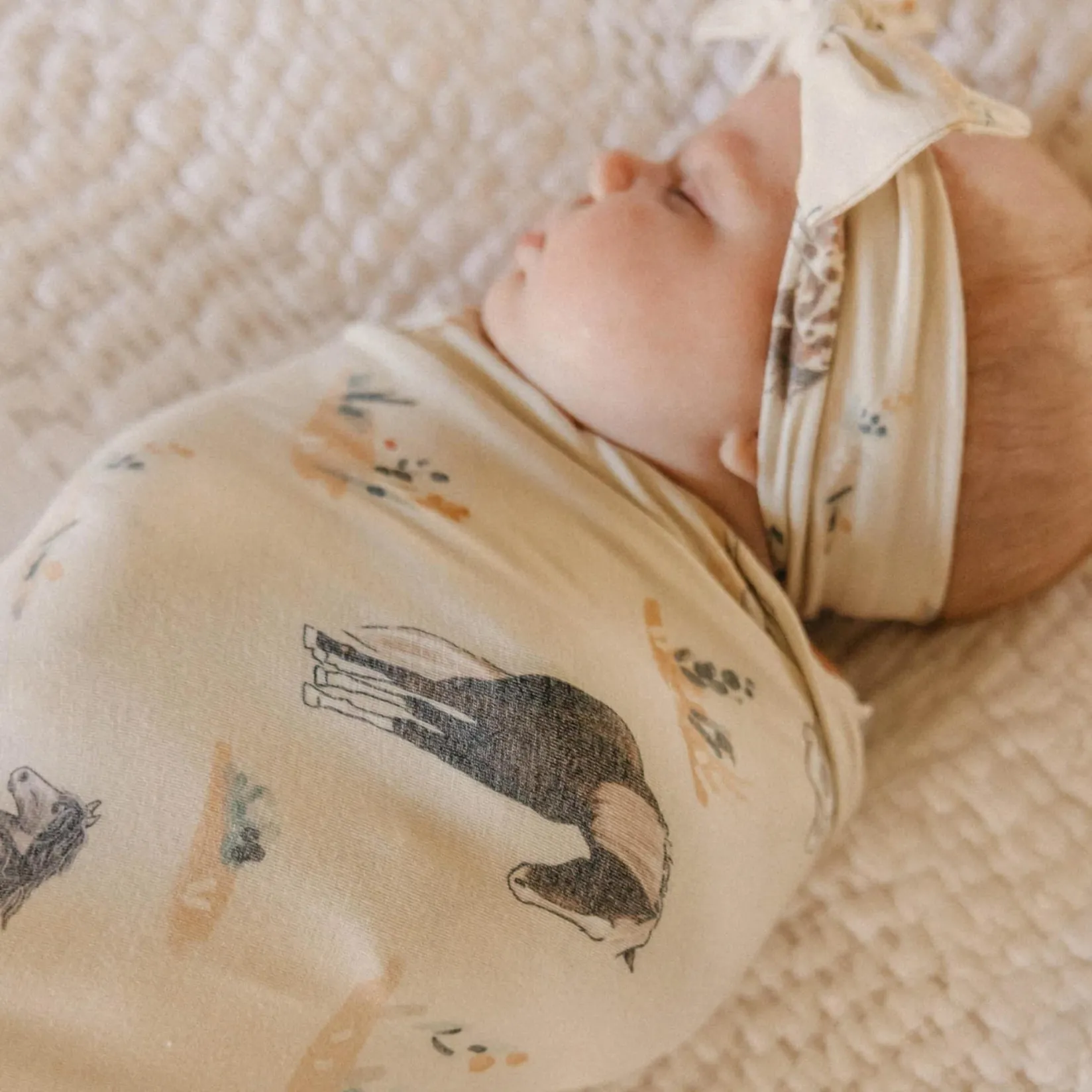 Blankets|Blankets>Copper Pearl Blanket - Montana