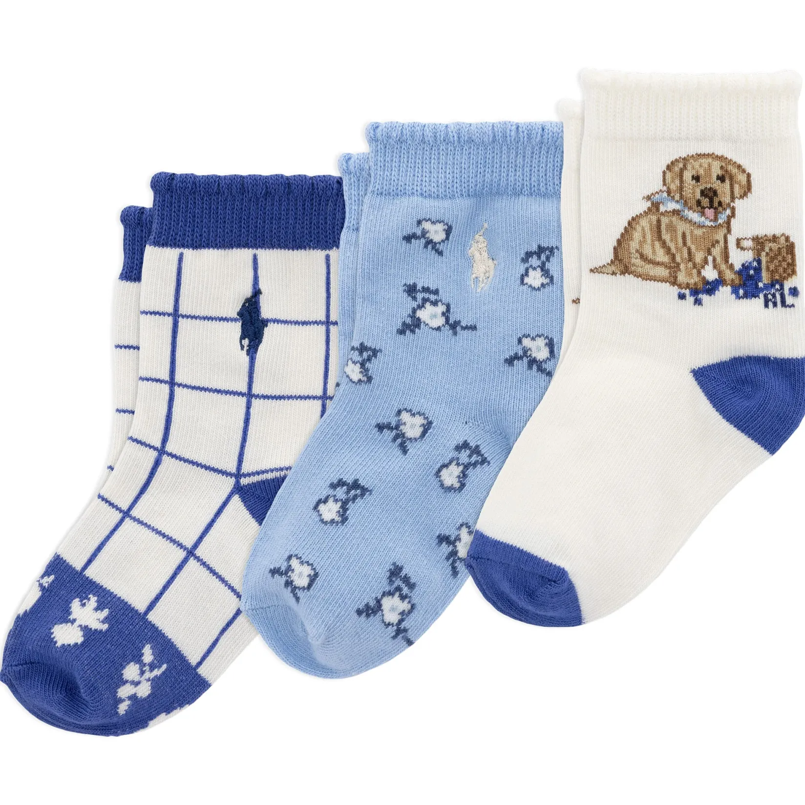 Outlet Blueberry Dog Socks (3) 6-24m Socks|Underwear & Socks