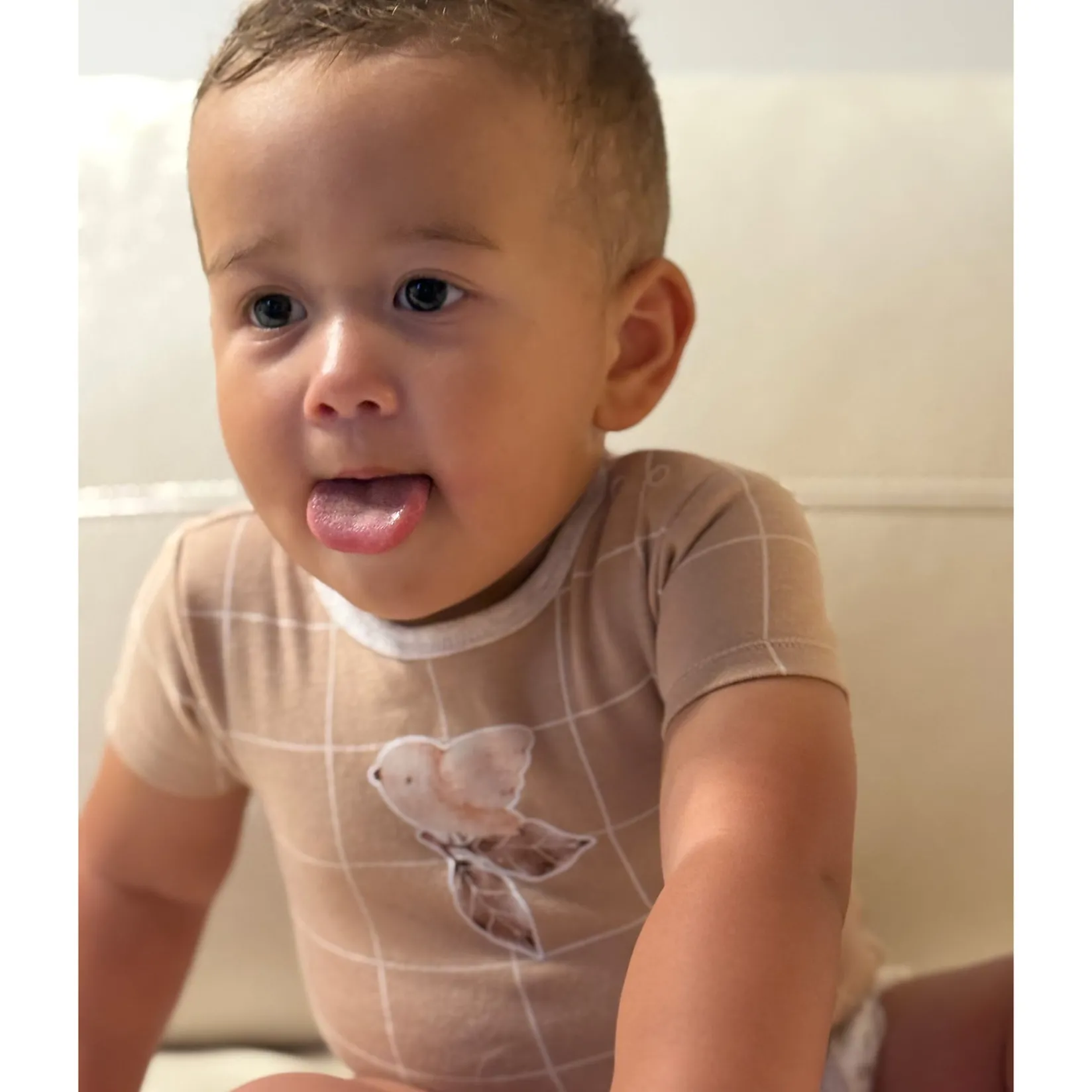 Bodysuits|Bodysuits>Bebe Confort Bodysuits (3) Autumn 0-30m Taupe