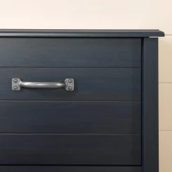 Bookcase Double Headboard with Doors - Ulysses Blueberry Twin, Full & Queen Beds