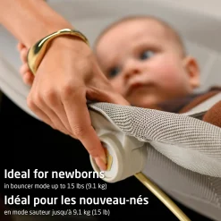 Bouncer Dove Pro - Elegance Graphite Swings & Rockers