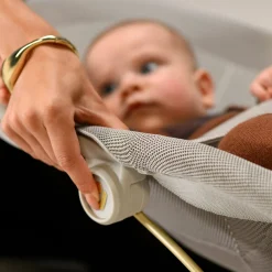 Swings & Rockers>Maxi-cosi Bouncer Dove Pro - Elegance Bronze