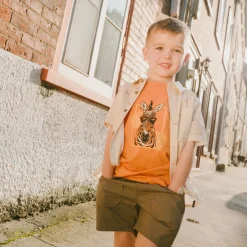 Discount Boys Short 3-6 Kids/BOY Shorts & Bermuda