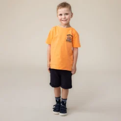 Tops><noscript><img width=