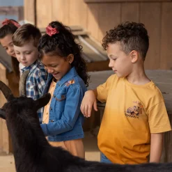 Tops><noscript><img width=