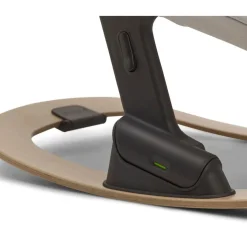 Swings & Rockers><noscript><img width=