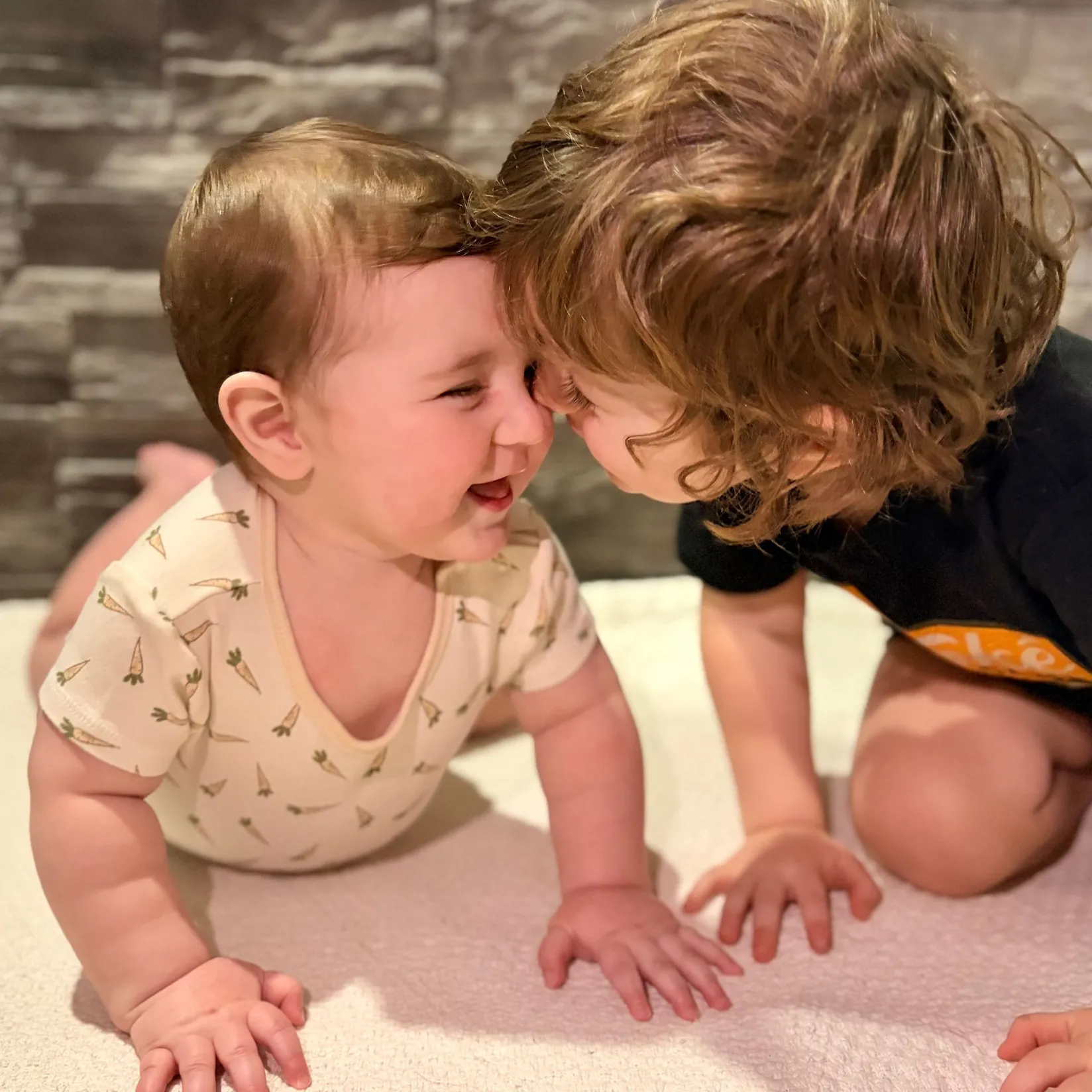 New Bunnies 3pk Bodysuit 0-30m BOY Bodysuits|Bodysuits