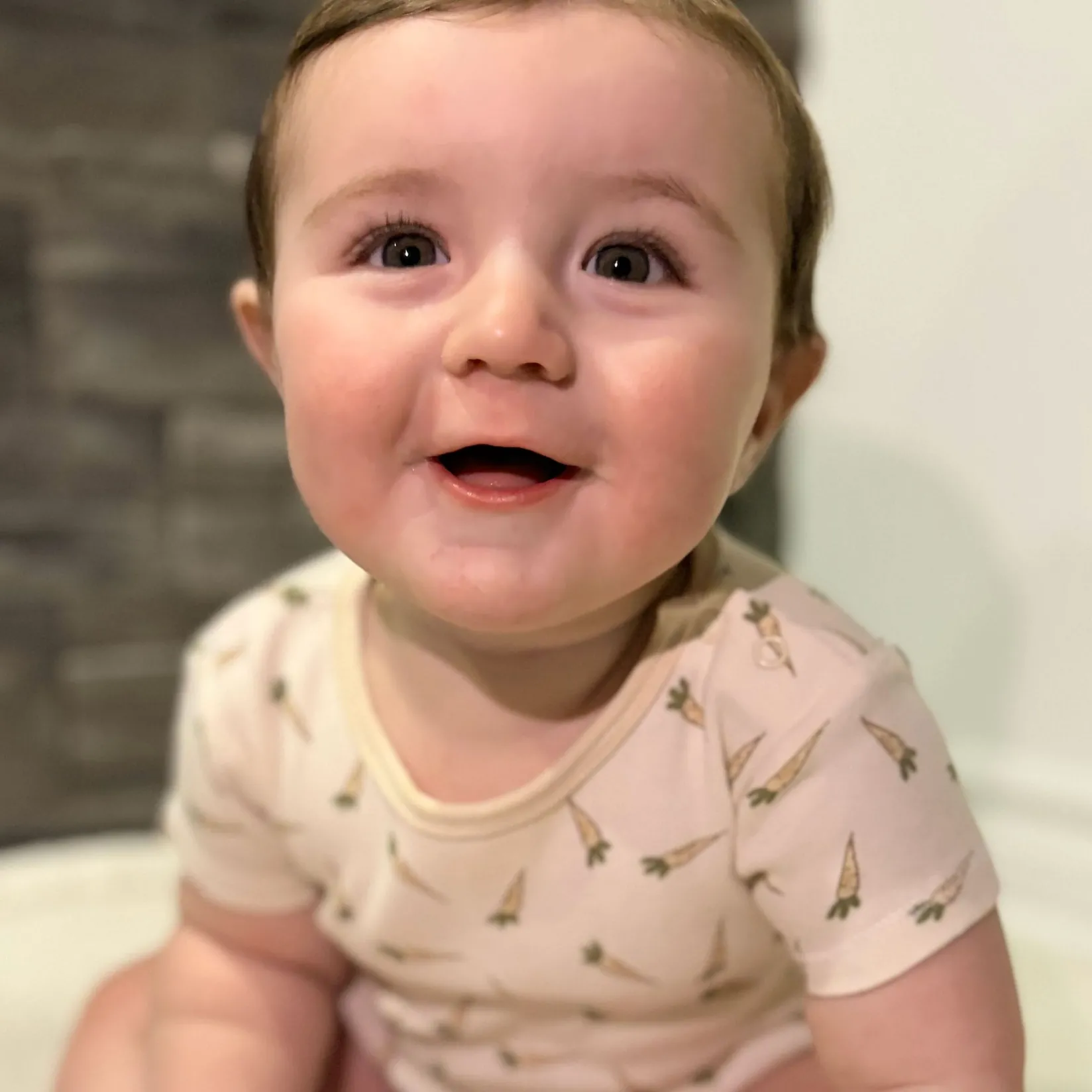 New Bunnies 3pk Bodysuit 0-30m BOY Bodysuits|Bodysuits