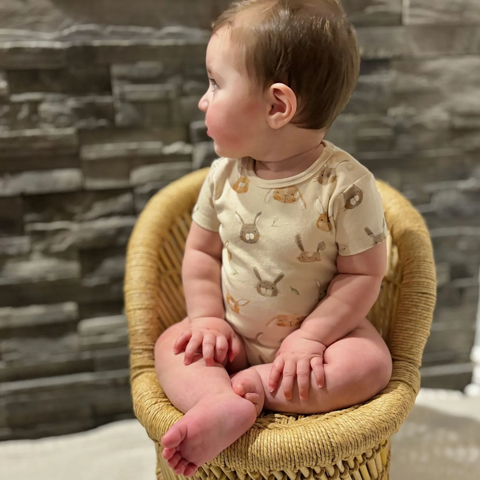 New Bunnies 3pk Bodysuit 0-30m BOY Bodysuits|Bodysuits