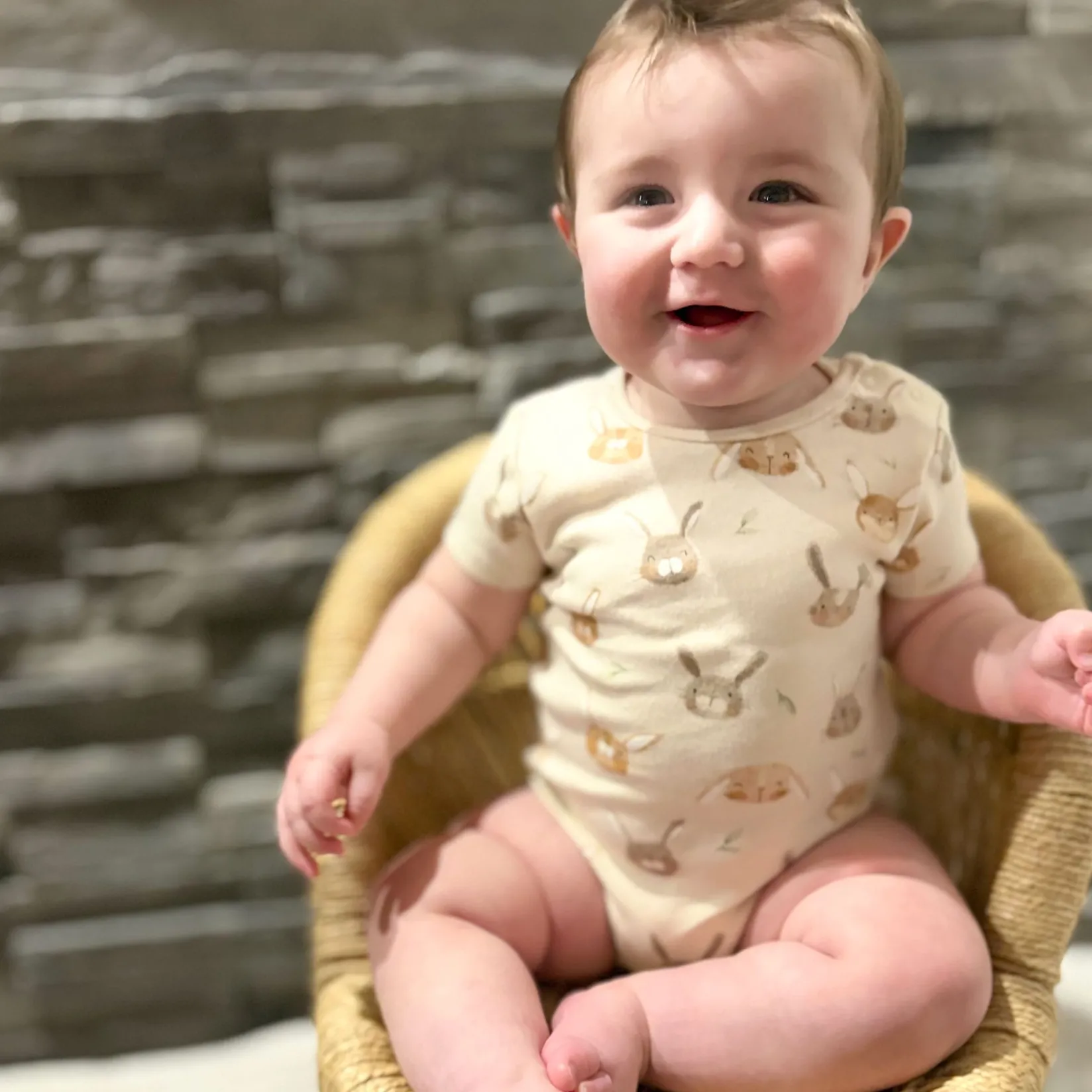 New Bunnies 3pk Bodysuit 0-30m BOY Bodysuits|Bodysuits