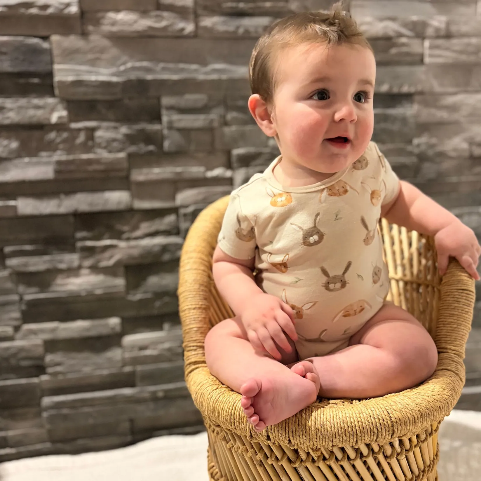 New Bunnies 3pk Bodysuit 0-30m BOY Bodysuits|Bodysuits