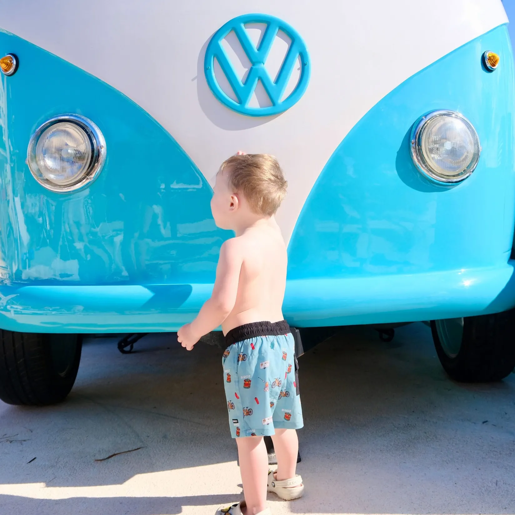 Swimsuits>Birdz Camping Uv Swim Shorts 2-10 Sage