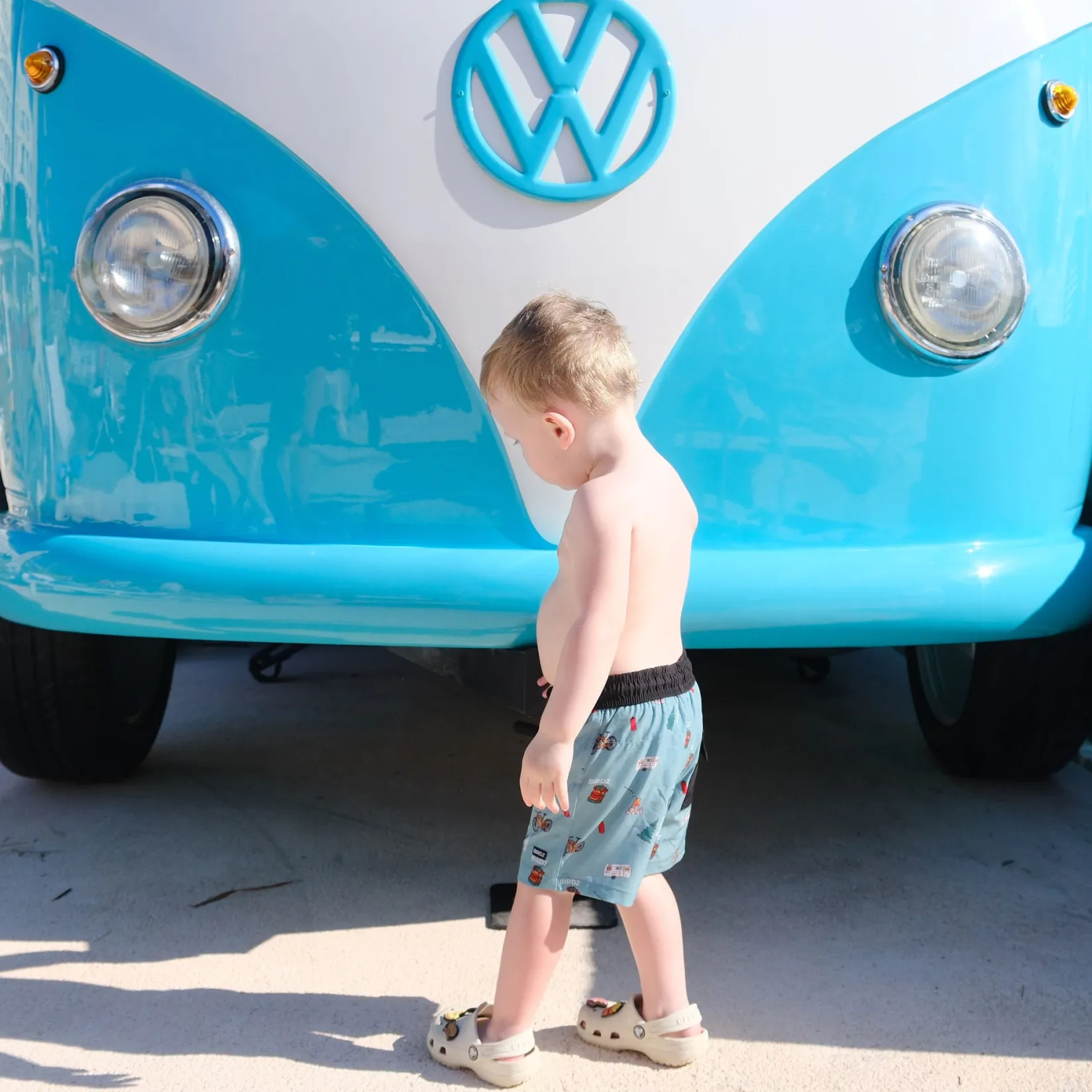 Swimsuits>Birdz Camping Uv Swim Shorts 2-10 Sage