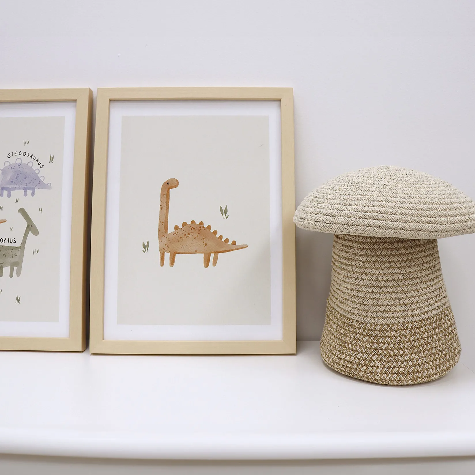 Clearance Canva with Natural Frame - Dinosaur Wall Decorations