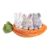 Plush Toys>Ganz Carrot Learn & Grow 4 Pieces Set
