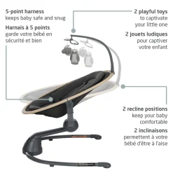 Swings & Rockers><noscript><img width=