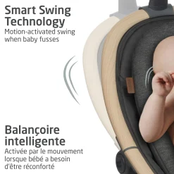 Swings & Rockers><noscript><img width=