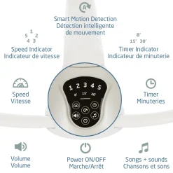 Best Cassia Swing - Classic Oat Swings & Rockers