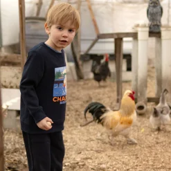 Best Chalet Dog Sweatshirt 2-10 Kids/BOY Fleeces And Sweatshirts|Tops