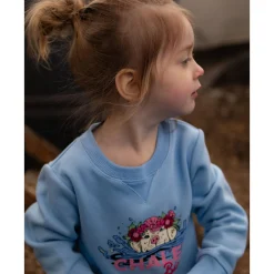 Sale Chalet Dog Sweatshirt 2-10 Kids Fleeces And Sweatshirts|Tops