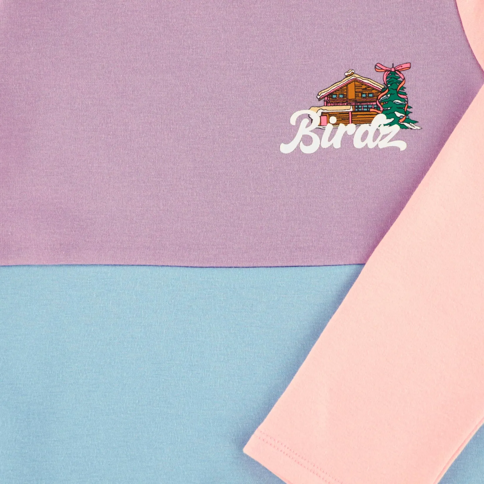 Dresses & Rompers>Birdz Chalet Padded Dress 2-10 y