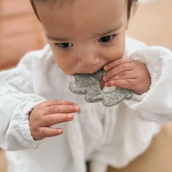 Teething Toys>Nouka Cooling Nature Teethers Nature