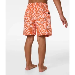 Swimsuits><noscript><img width=