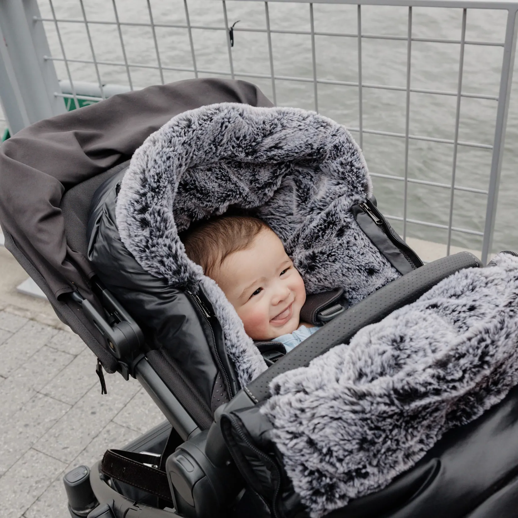 Winter Activities|Strollers & Trailers>UPPAbaby Cozyganoosh Luxe Stroller - Lyla