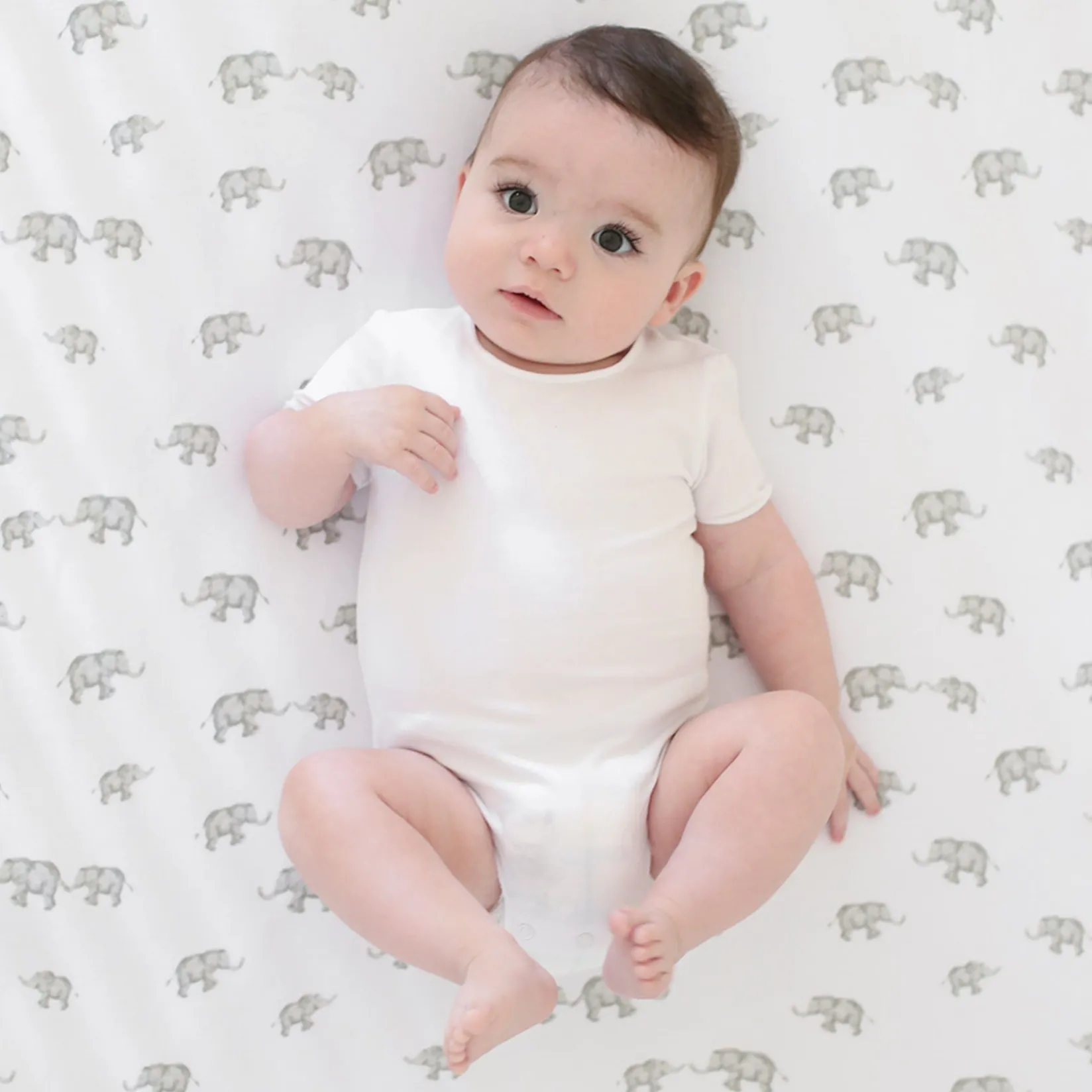 Sheets|Bedding>Living Textiles Crib Fitted Sheet - Grey Elephant