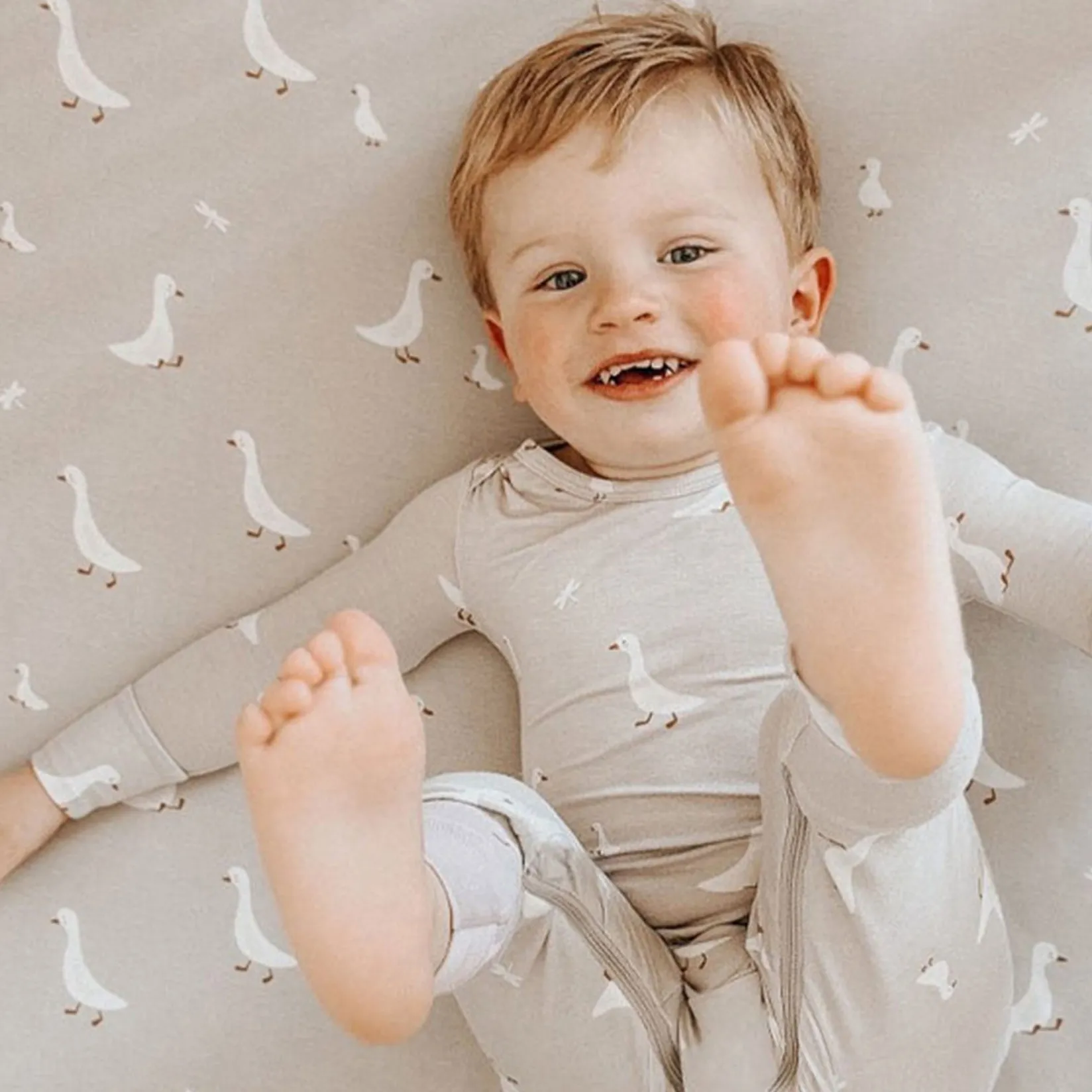 Sale Crib Sheet - Goose Kids Sheets|Bedding