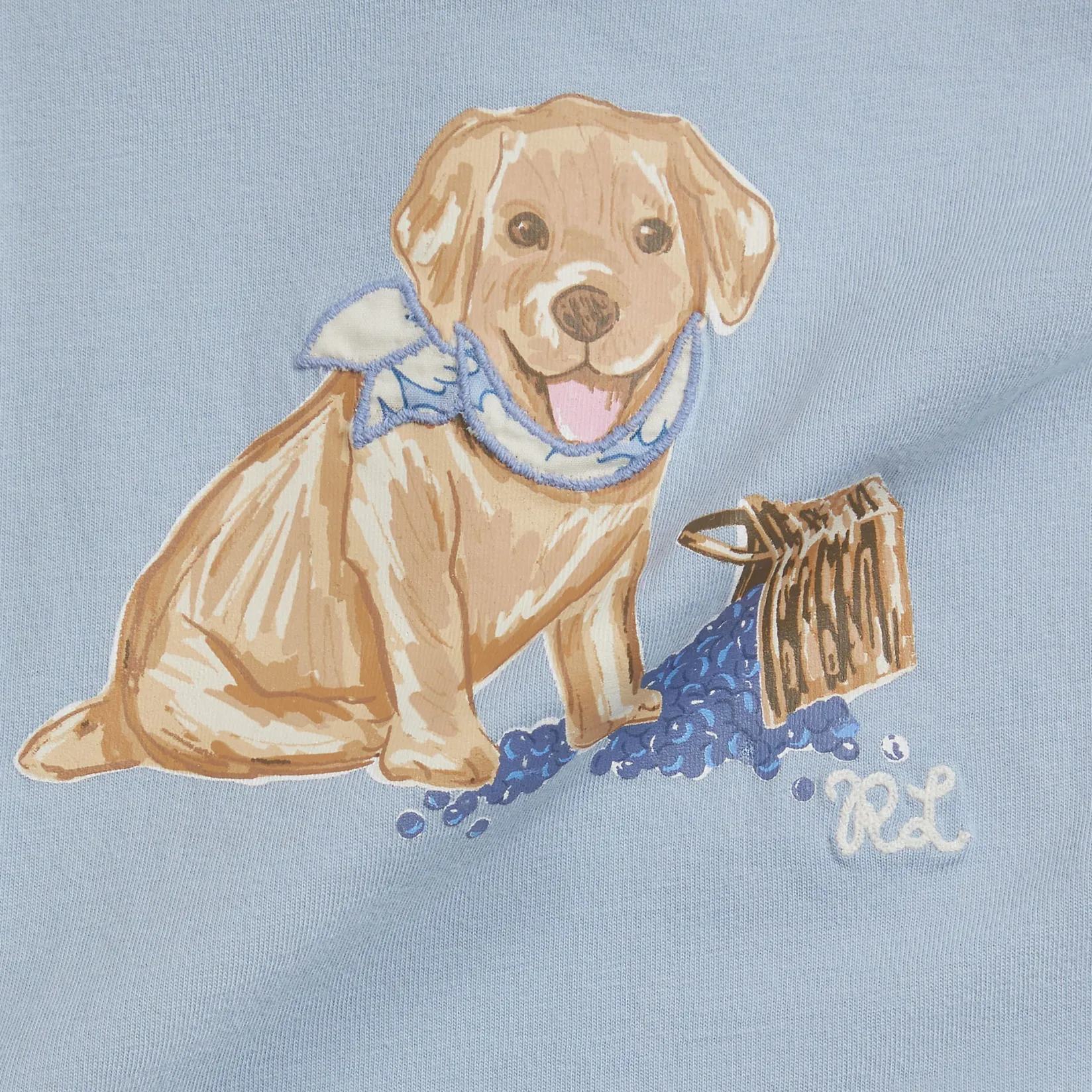 Dresses, Skirts & Outfits>Polo Ralph Lauren Cute Dog 2 Piece Set 6-24m Bleu