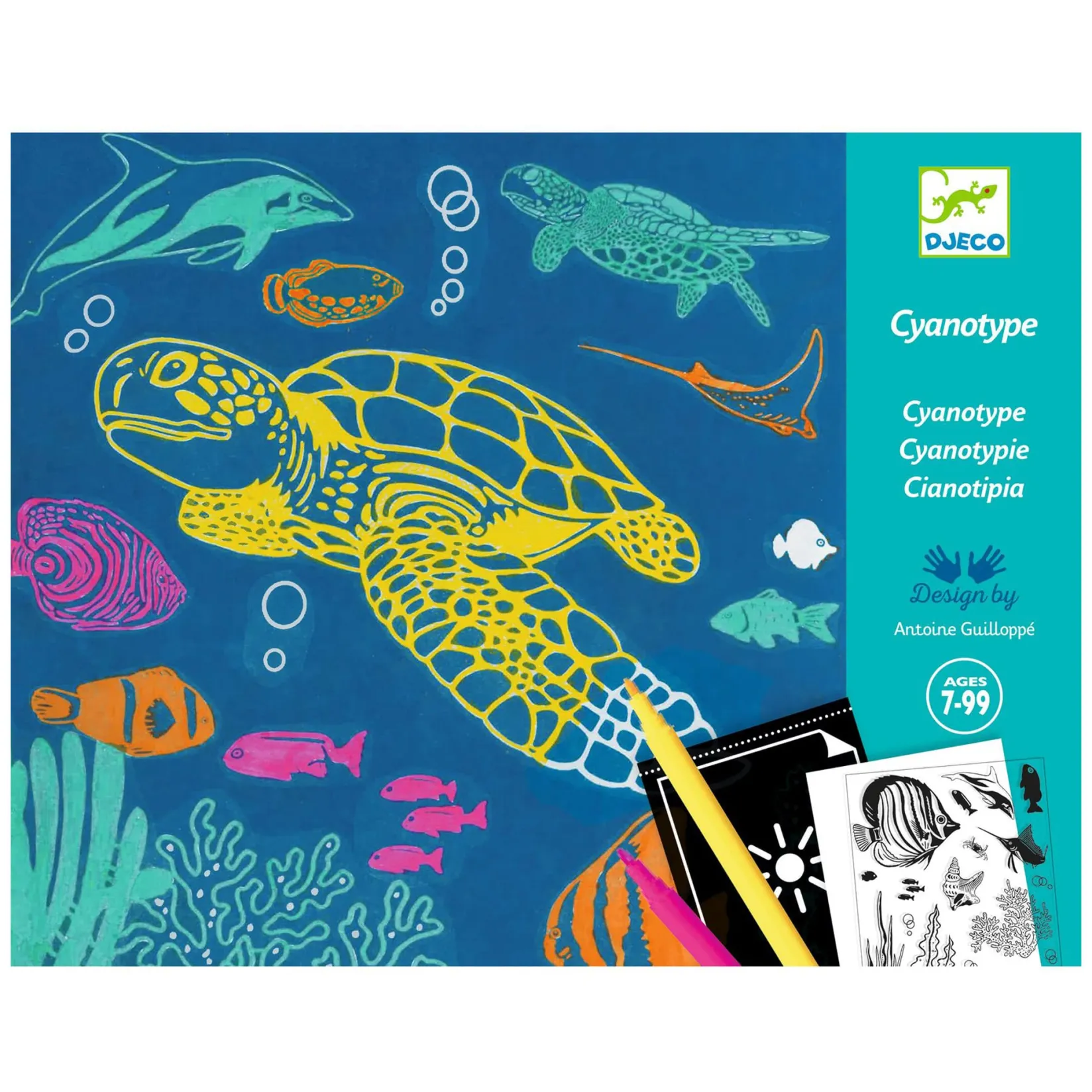 Diy & Activities>Djeco Cyanotype Ultramarine