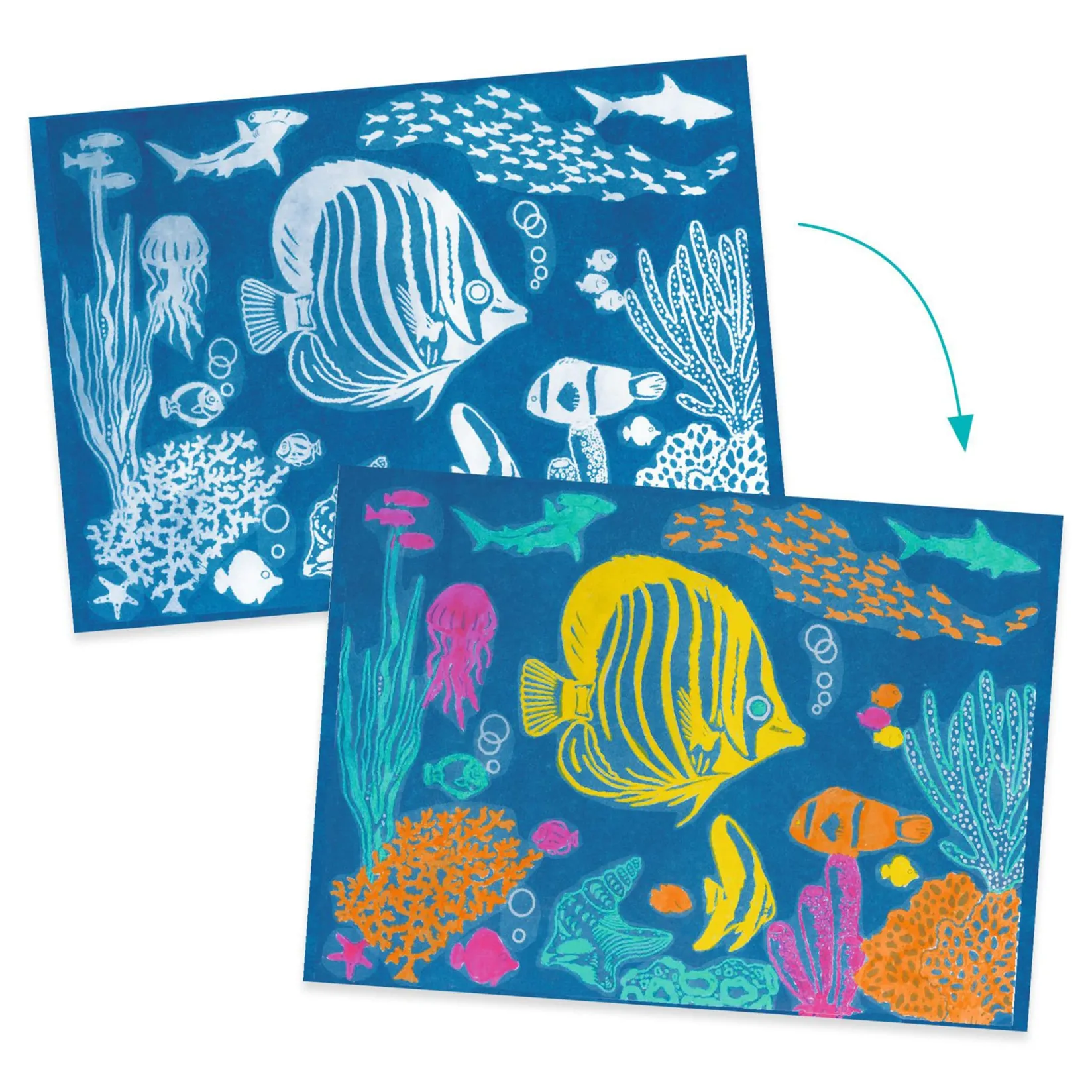 Diy & Activities>Djeco Cyanotype Ultramarine