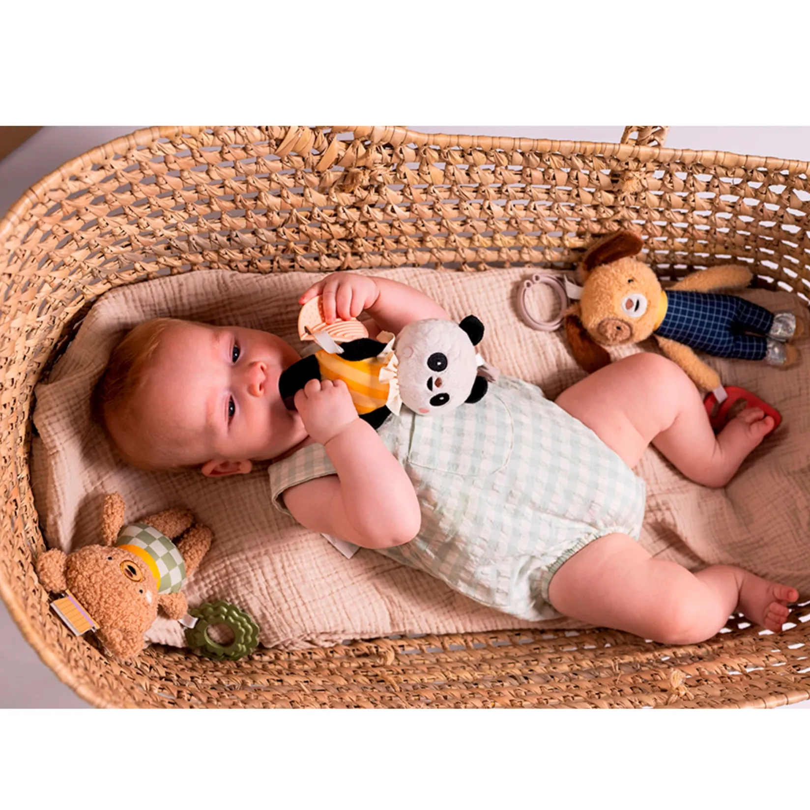 Sale Daniel Activity Toy Stroller & Car Seat Toys|Developmental Toys