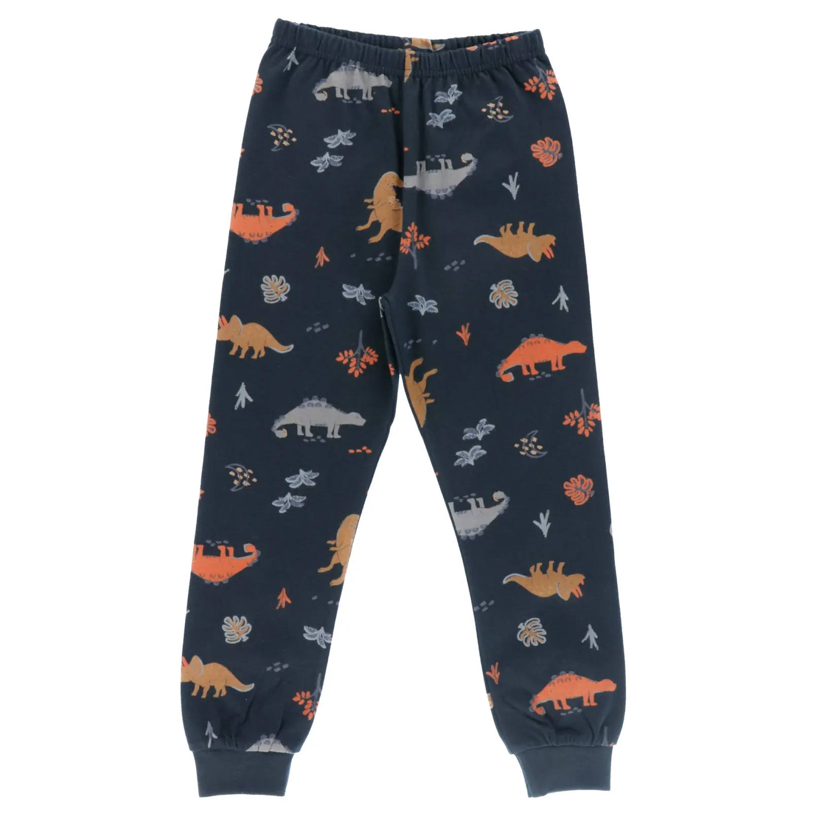 Dinos 3pc Pajamas 2-12 Kids/BOY Pajamas & Bathrobes