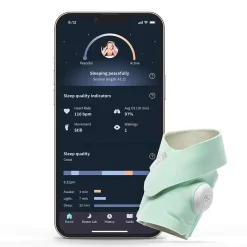 Monitors & Cameras>Owlet Dream Sock - Mint