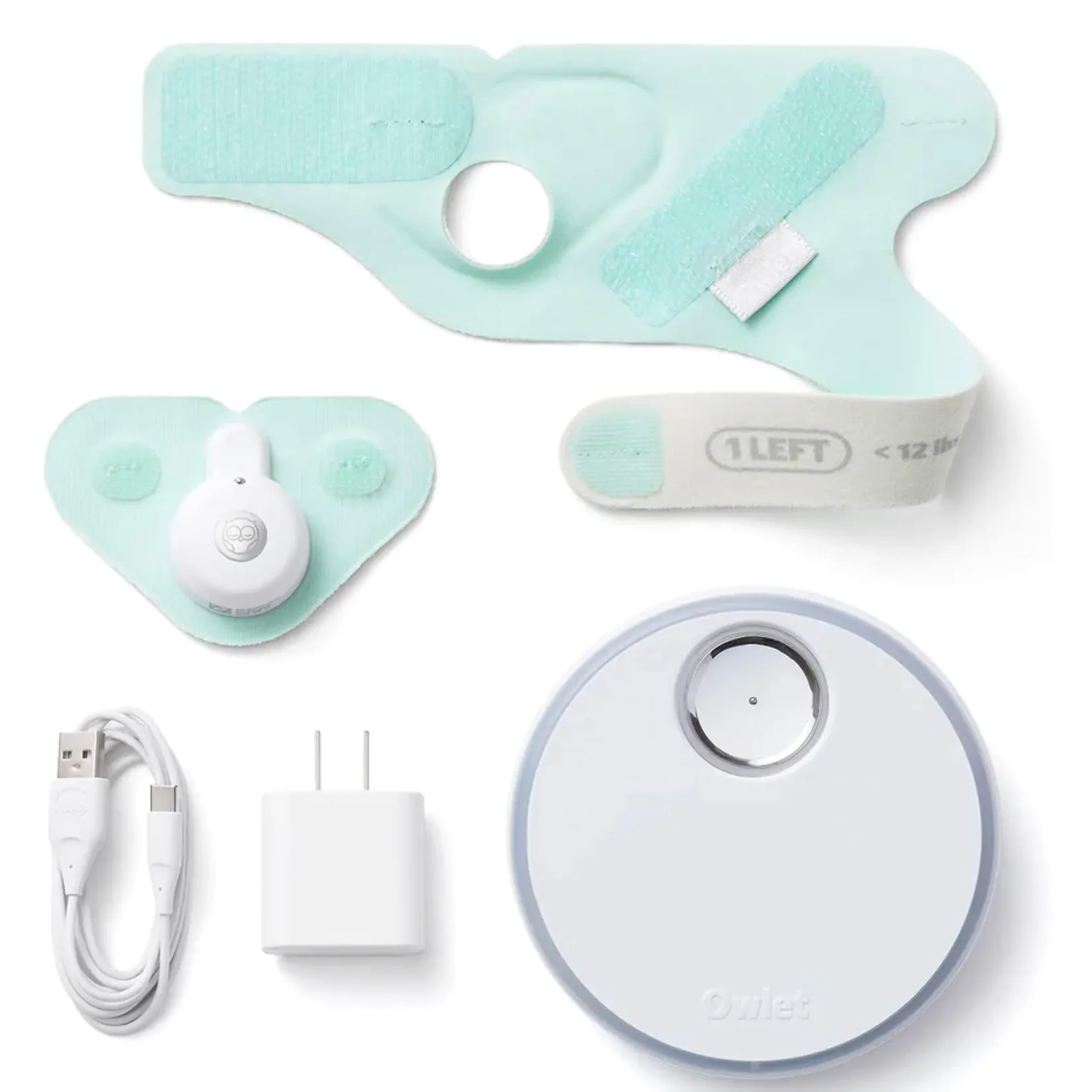 Monitors & Cameras>Owlet Dream Sock - Mint