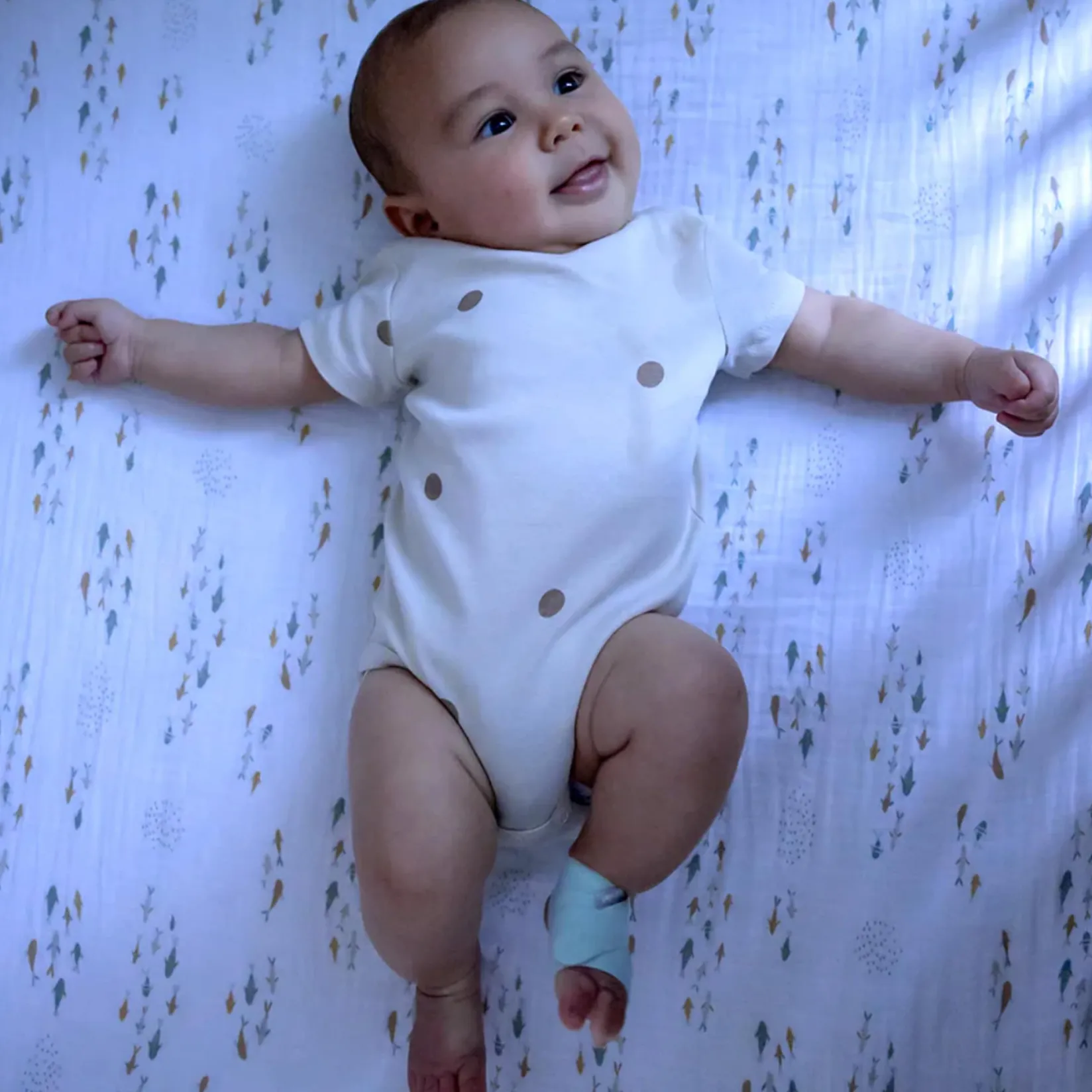 Monitors & Cameras>Owlet Dream Sock - Mint