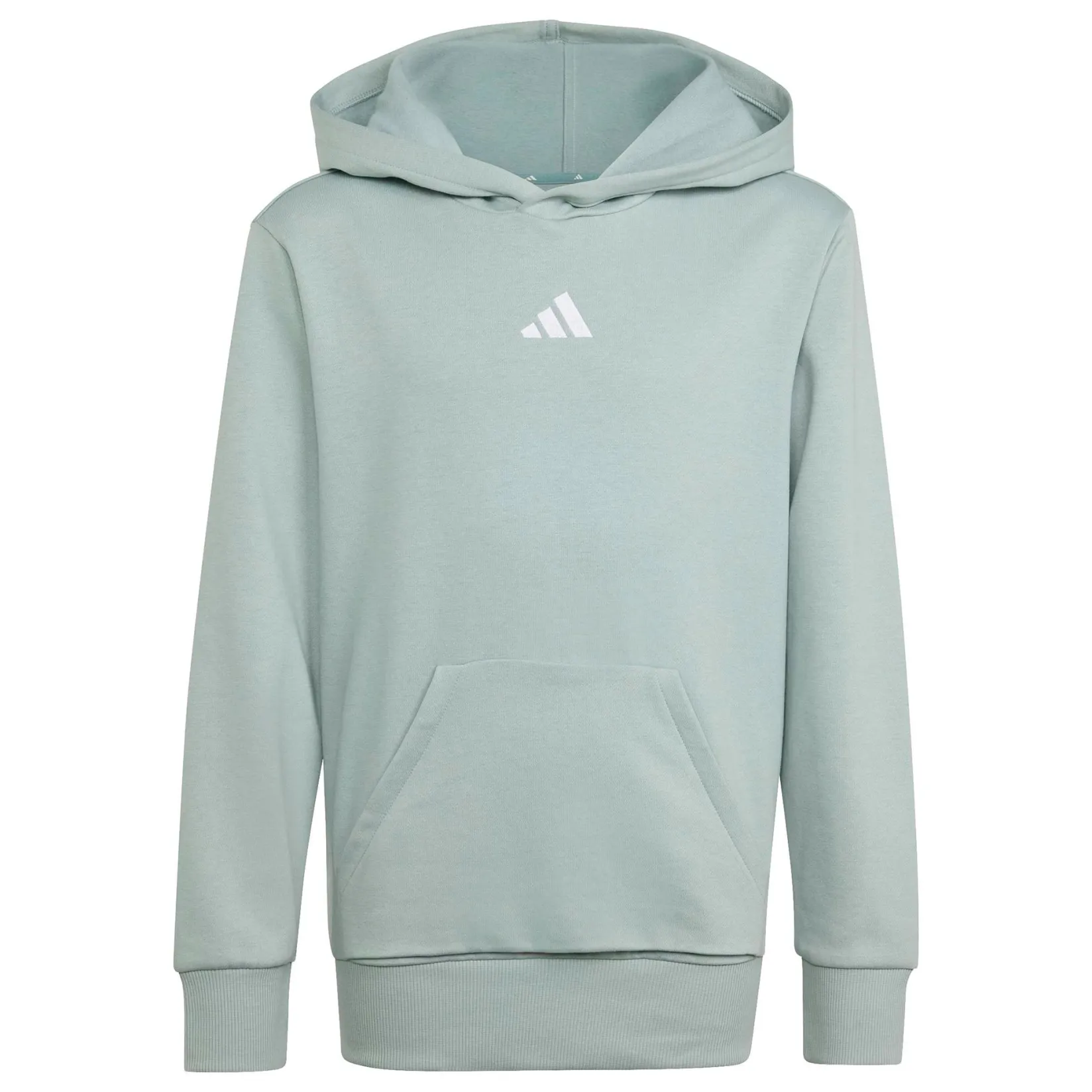 Sportswear|Fleeces And Sweatshirts>Adidas Essential Hoodie 7-16y Sage