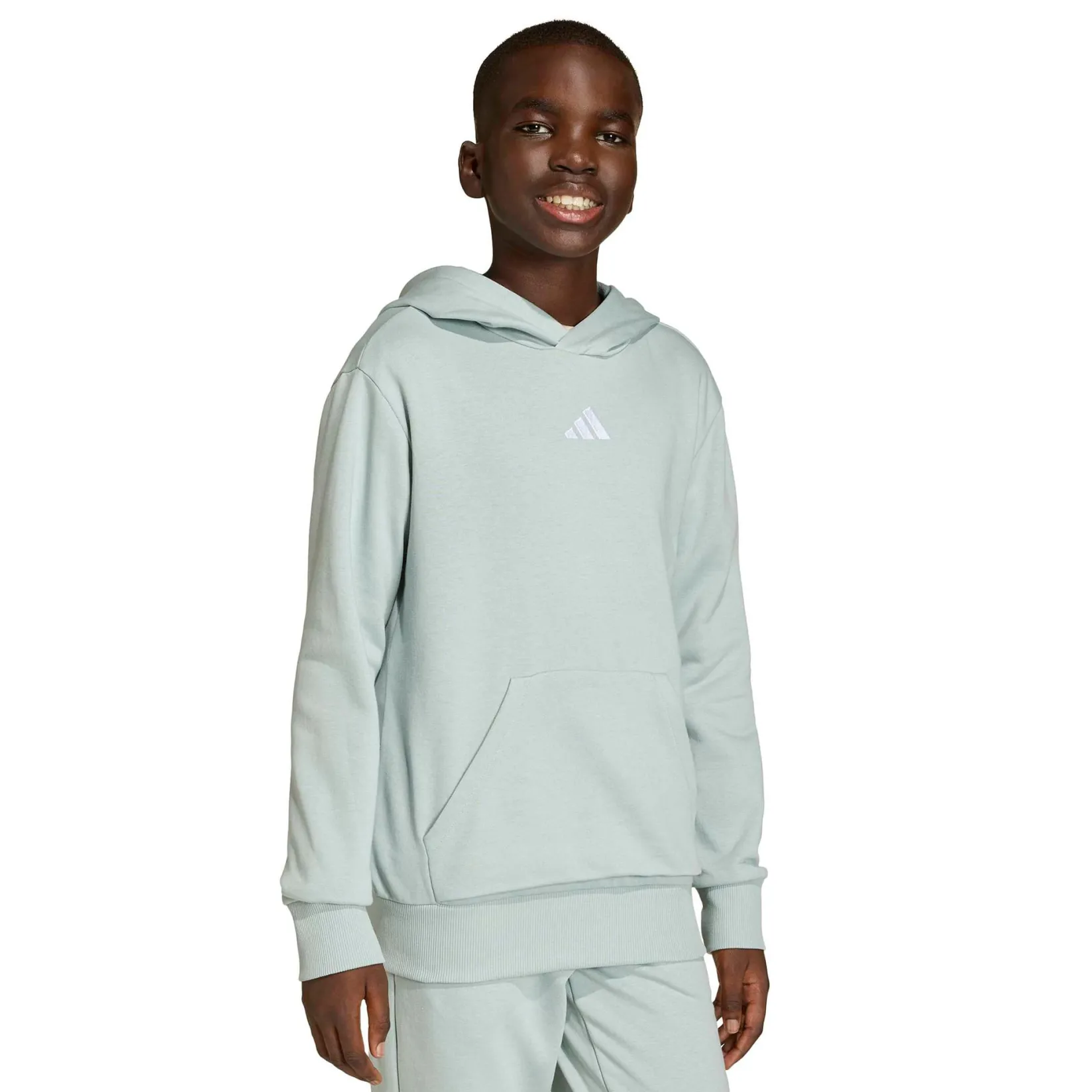 Sportswear|Fleeces And Sweatshirts>Adidas Essential Hoodie 7-16y Sage