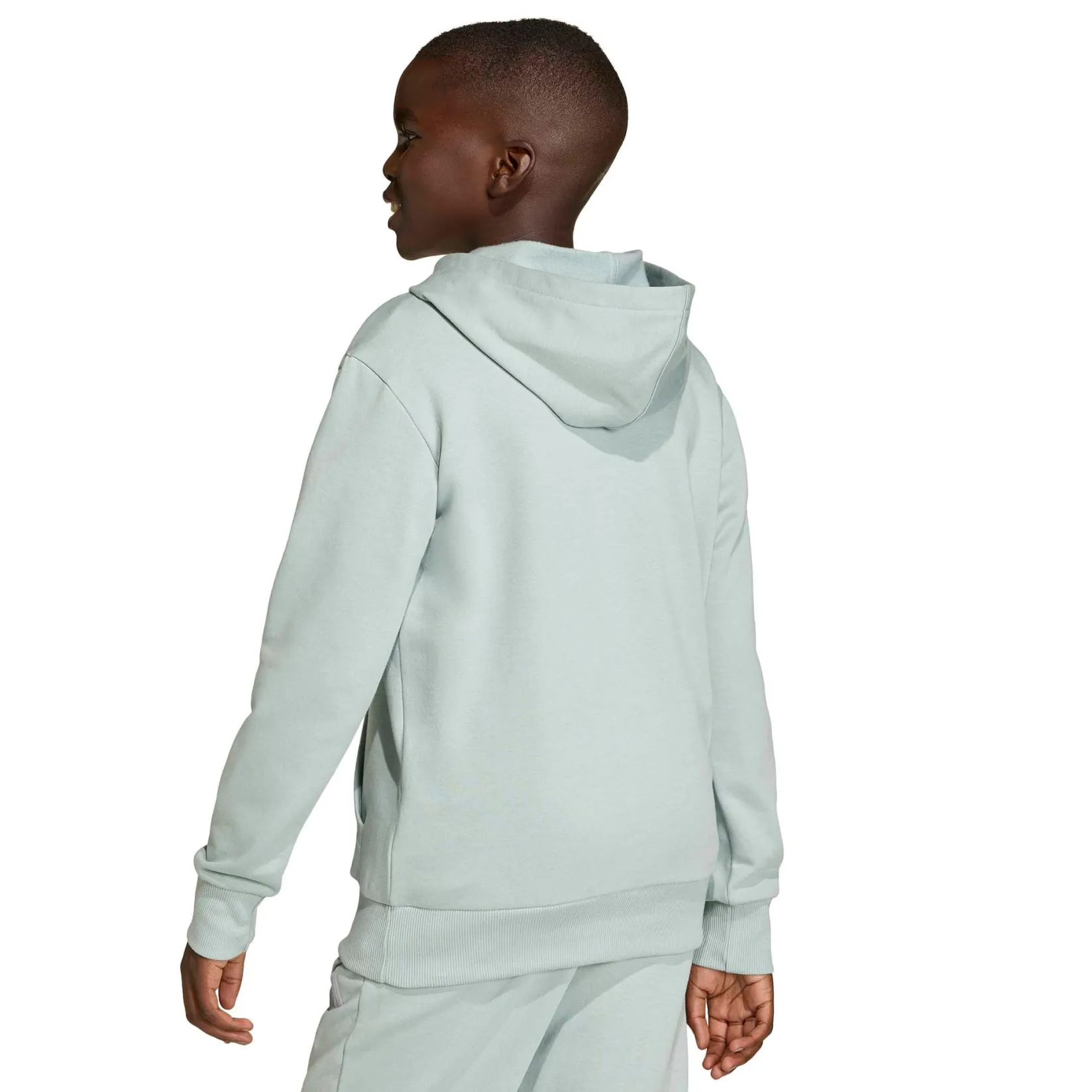 Sportswear|Fleeces And Sweatshirts>Adidas Essential Hoodie 7-16y Sage